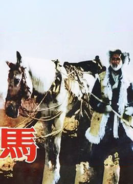  维视图像涨超12% 成交量超过365万