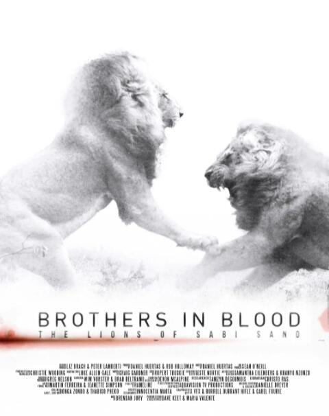  楼市积极回暖 一批次新盘认购红火