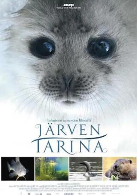 惠誉：中国保险公司将重拾增长 部分险企对承担投资风险仍将保持审慎