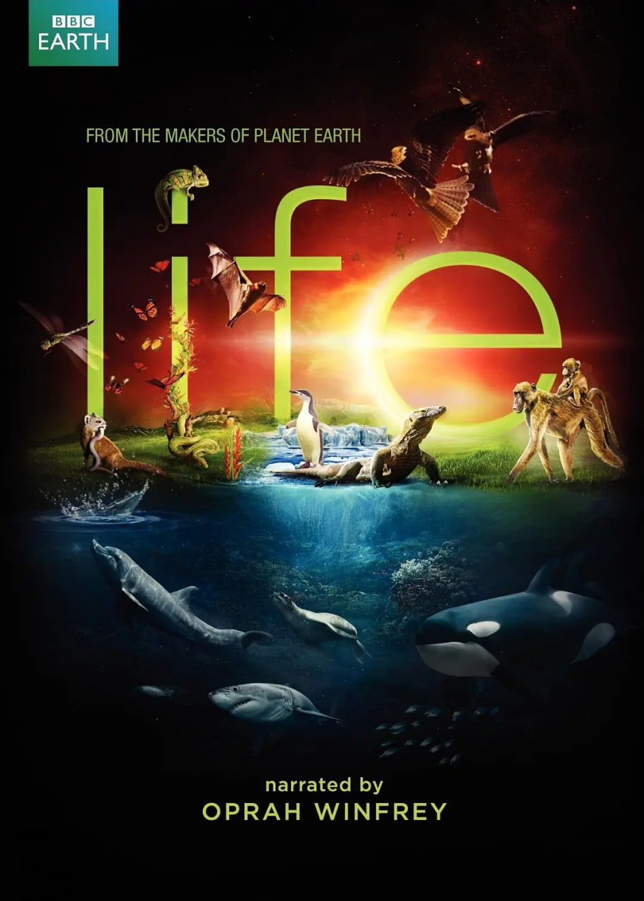 使用 Hyperledger Ursa 简化区块链安全性