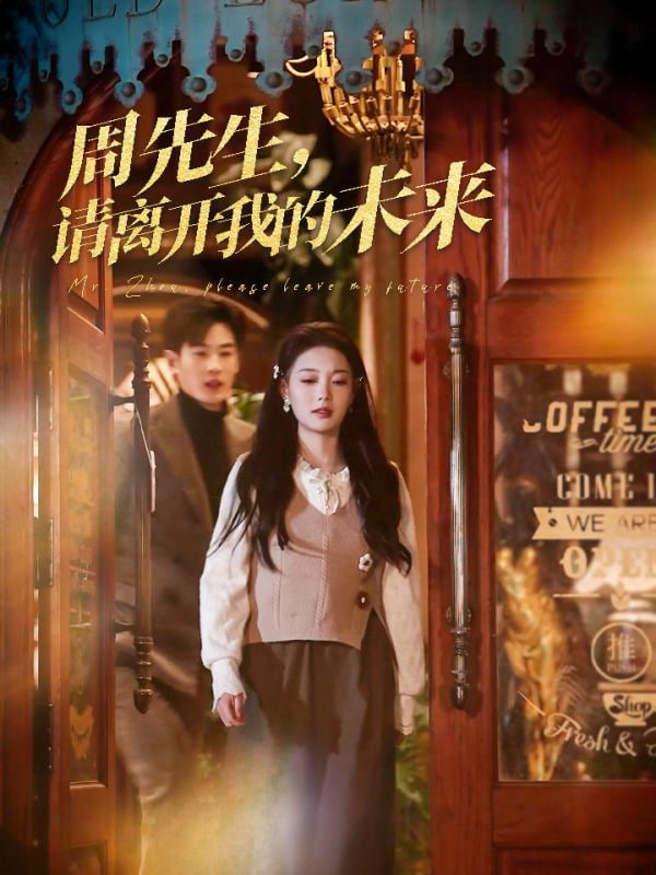 周先生，请离开我的未来