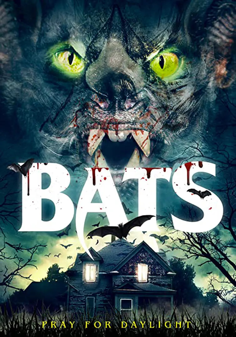 2022国家自然科学基金评审结果公布,北二外3个项目获资助