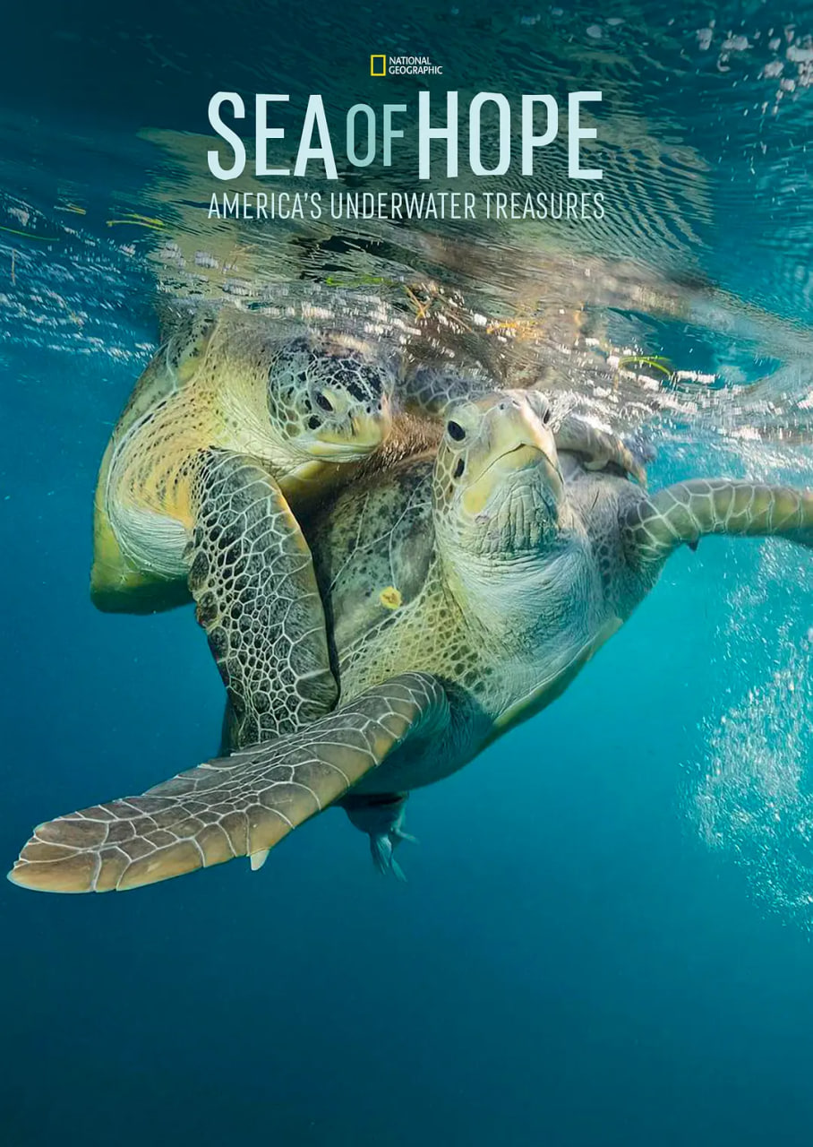 使用 Hyperledger Ursa 简化区块链安全性