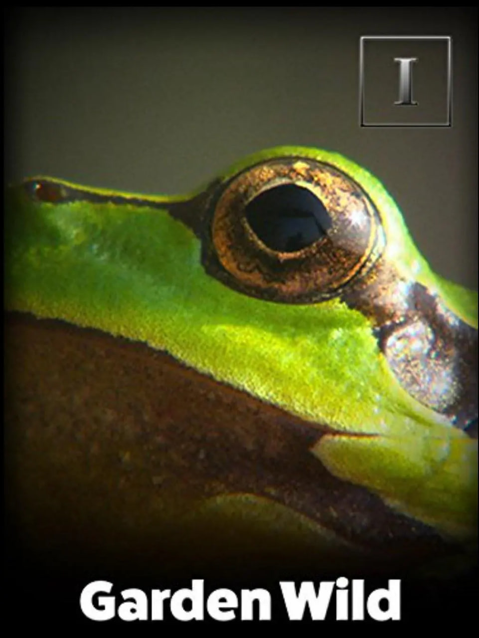 资本市场有哪些机遇、政策如何支持基建、数字经济有多大空间......这场峰会有答案!