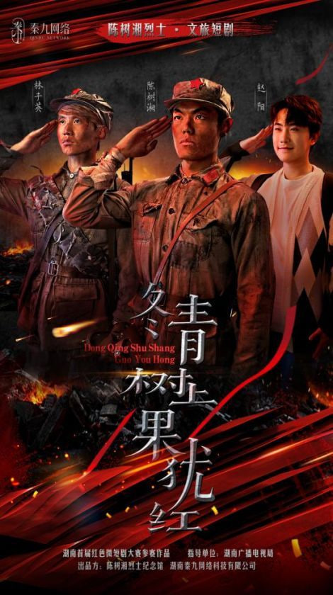 冬青树上果犹红