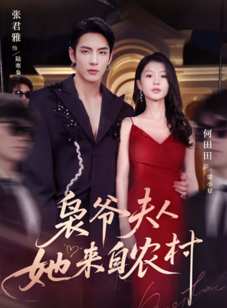 枭爷夫人她来自农村