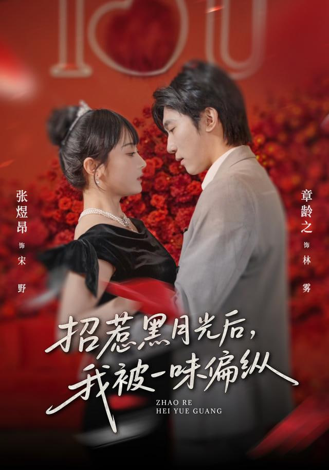 招惹黑月光后，我被一味偏纵