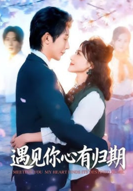 遇见你心有归期